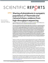 Sharing of Photobionts in Sympatric Populations of Thamnolia And