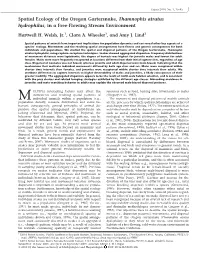 Spatial Ecology of the Oregon Gartersnake, Thamnophis Atratus Hydrophilus, in a Free-Flowing Stream Environment