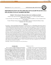 Differentiation of Two Species of Pasak Bumi (Eurycoma Spp) Based on Leaf Morphometric