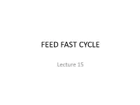 Feed Fast Cycle Absorptive State (Fed State)