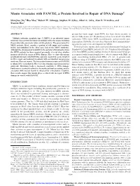 Full Text (PDF)