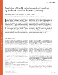 Regulation of Ephb2 Activation and Cell Repulsion by Feedback Control Of
