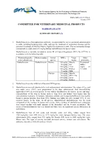 Summary Report (2)
