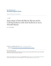 Association of Smooth Muscle Myosin and Its Carboxyl Isoforms with Actin Isoforms in Aorta Smooth Muscle Jason Edward Black