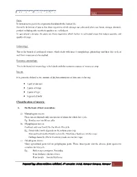 Classification of Insects: A