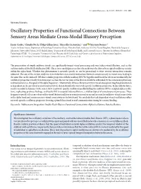 Oscillatory Properties of Functional Connections Between Sensory Areas Mediate Cross-Modal Illusory Perception