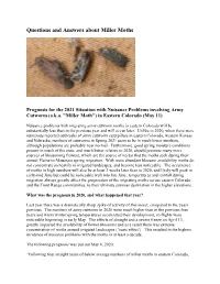 Questions and Answers About Miller Moths