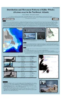 Distribution and Movement Patterns of Killer Whales (Orcinus Orca) in the Northwest Atlantic. ICES CM 2008/B:20