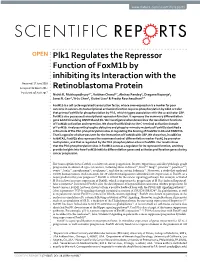 Plk1 Regulates the Repressor Function of Foxm1b by Inhibiting Its