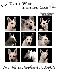 The White Shepherd in Profile Table of Contents