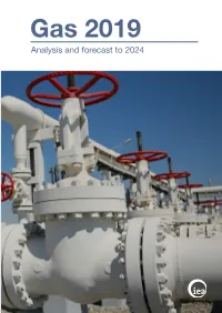 Analysis and Forecast to 2024 Gas 2019 Analysis and Forecast to 2024 Gas Market Report 2019 Foreword