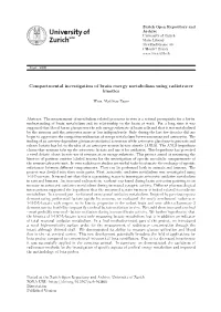 Compartmental Investigation of Brain Energy Metabolism Using Radiotracer Kinetics