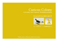 Curious Colony a Twenty First Century Wunderkammer