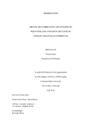 Dissertation Meiotic Recombination and Synapsis