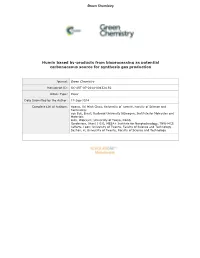 Humin Based By-Products from Bioprocessing As Potential Carbonaceous Source for Synthesis Gas Production