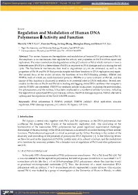 Regulation and Modulation of Human DNA Polymerase Δ Activity and Function