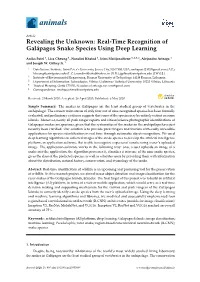 Revealing the Unknown: Real-Time Recognition of Galápagos Snake Species Using Deep Learning