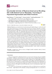 Insecticidal Activity of Bacteria from Larvae Breeding Site with Natural Larvae Mortality: Screening of Separated Supernatant and Pellet Fractions