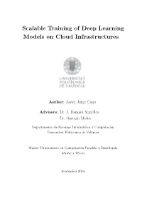 Scalable Training of Deep Learning Models on Cloud Infrastructures