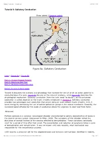Tutorial 8: Saltatory Conduction Figure 8A