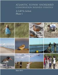 Atlantic Flyway Shorebird Conservation Business Strategy a Call to Action Phase 1