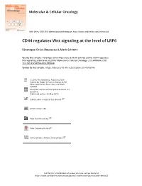 CD44 Regulates Wnt Signaling at the Level of LRP6