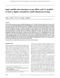 Imp3 Unfolds Stem Structures in Pre-Rrna and U3 Snorna to Form a Duplex Essential for Small Subunit Processing