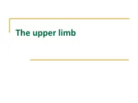 The Upper Limb Lecture 1.Pdf