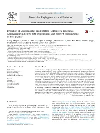 Coleoptera, Bruchinae, Amblycerini) Indicates Both Synchronous and Delayed Colonizations of Host Plants Q ⇑ Gael J