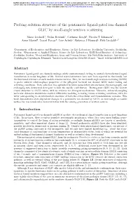 Probing Solution Structure of the Pentameric Ligand-Gated Ion Channel GLIC by Small-Angle Neutron Scattering