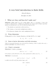 A Casual Primer on Finite Fields