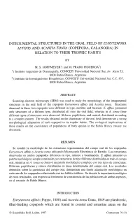 Copepoda, Calanoida) in Relation to Their Trophic Habits
