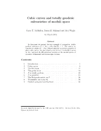 Cubic Curves and Totally Geodesic Subvarieties of Moduli Space