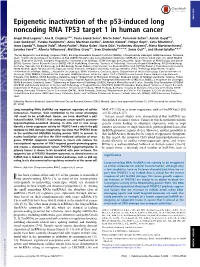Epigenetic Inactivation of the P53-Induced Long Noncoding RNA