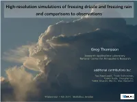 High-Resolution Simulations of Freezing Drizzle and Freezing Rain and Comparisons to Observations