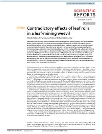 Contradictory Effects of Leaf Rolls in a Leaf-Mining Weevil