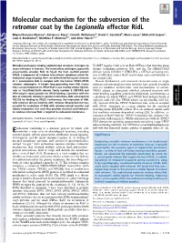 Molecular Mechanism for the Subversion of the Retromer Coat By