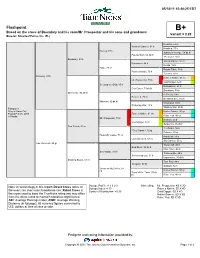 Flashpoint B+ Based on the Cross of Boundary and His Sons/Mr