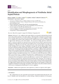 Identification and Morphogenesis of Vestibular Atrial Septal Defects