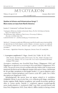 Studies in Lichens and Lichenicolous Fungi: 7