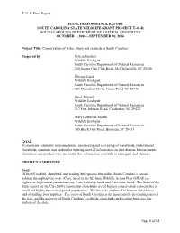 Conservation of Wading Birds, Shorebirds and Seabirds in South