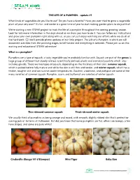 LIFE of a PUMPKIN - Update #1