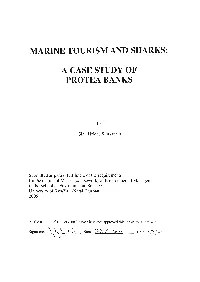 Marine Tourism and Sharks: a Case Study Of