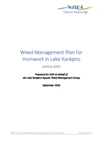 Master Copy, Karapiro WMP Phase