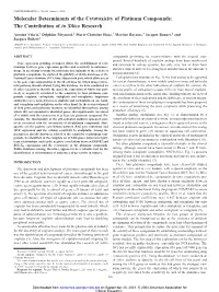 Molecular Determinants of the Cytotoxicity of Platinum Compounds: the Contribution of in Silico Research