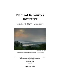 Natural Resources Inventory (NRI) in Its Simplest Terms Is a Detailed Collection of Available Data on the Important Naturally Occurring Resources Within a Town