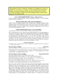Order CHARADRIIFORMES: Waders, Gulls and Terns Suborder LARI