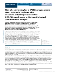 Paraganglioma (PGL) Tumors in Patients with Succinate Dehydrogenase-Related PCC–PGL Syndromes: a Clinicopathological and Molecular Analysis