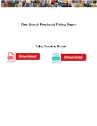 West Branch Penobscot Fishing Report