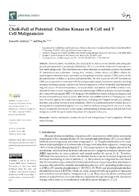 Chok-Full of Potential: Choline Kinase in B Cell and T Cell Malignancies